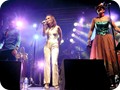 BOURGEOIS 2010-312